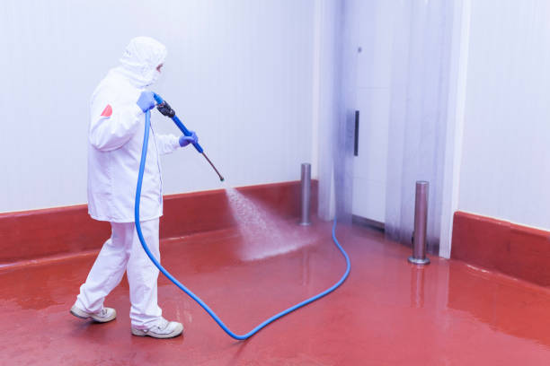 Best Pool Deck Cleaning  in Spinnerstown, PA